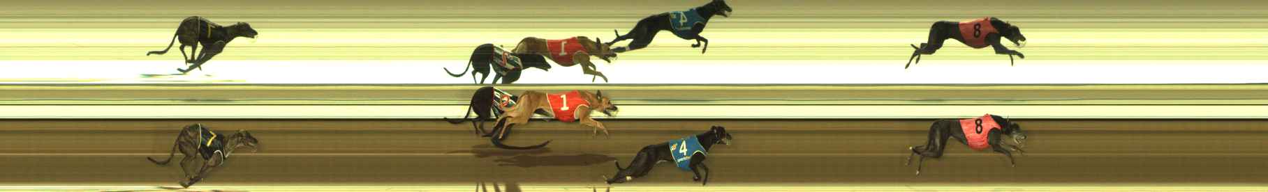 Race result finish photo